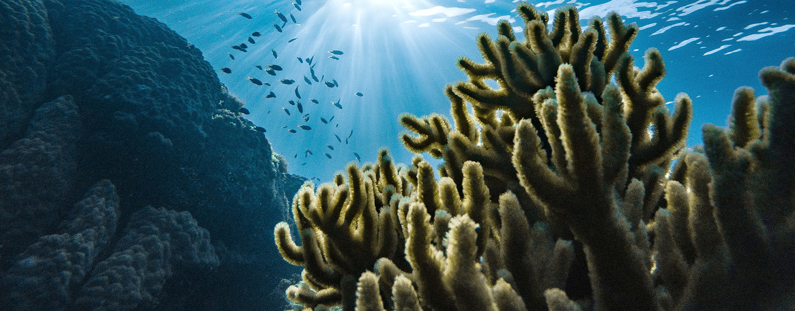 三達(dá)膜中水回用、陶瓷膜、石墨烯膜、黑金膜公眾號(hào)，歡迎您掃碼關(guān)注！