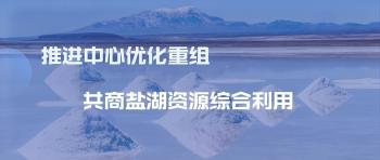 國家鹽湖資源綜合利用工程技術(shù)研究中心第四屆技術(shù)委員會(huì)會(huì)議召開